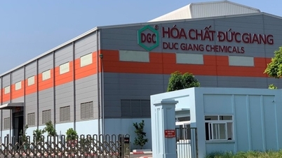 Cổ phiếu Hóa chất Đức Giang bị bán tháo, trắng bên mua sau tin Chủ tịch bị bắt