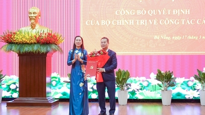 Da Nang heeft een nieuwe vice-secretaris van het stadscomité van de partij voor de periode 2025-2030.