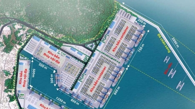 Le consortium Hateco et APM Terminals (Pays-Bas) a remporté l'appel d'offres pour le projet portuaire de Lien Chieu d'une valeur de plus de 45 000 milliards de VND.