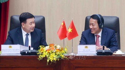 Vietnam-Kina ministerkonferanse om samarbeid innen kriminalitetsforebygging og -kontroll