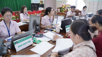 La succursale de Van Ninh de la Banque de politique sociale a déboursé 2,8 milliards de VND à 60 emprunteurs de la commune de Van Thang.