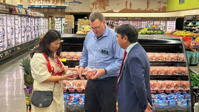 Oficina Comercial de Vietnam en Houston: Promoviendo la integración de los productos vietnamitas en la cadena de suministro de Estados Unidos.