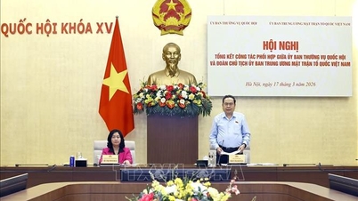 Vietnam Ulusal Meclisi Daimi Komitesi ile Vietnam Vatan Cephesi Merkez Komitesi Başkanlığı arasındaki koordinasyon çalışmalarının özeti.