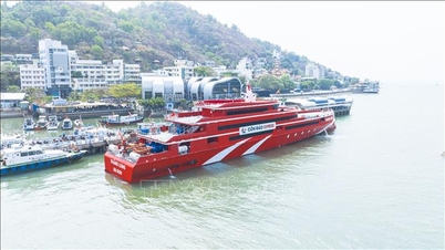 2026 yazında Vung Tau - Con Dao güzergahındaki yüksek hızlı feribot seferlerinin sayısını artırın ve bilet fiyatlarını düşürün.