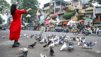 Hanoi dan Bandar Raya Ho Chi Minh bakal menjadi antara 50 bandar terbaik di dunia pada tahun 2026.