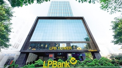 Securities companies remain optimistic about the market in 2026.