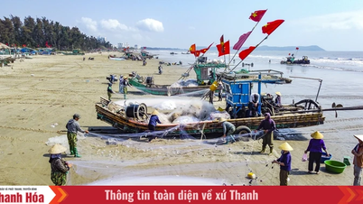 ລາຄານໍ້າມັນເຊື້ອໄຟທີ່ເພີ່ມຂຶ້ນ ແລະ ລະດູການຫາປາເຮຣິງຊ່ວຍໃຫ້ຊາວປະມົງແຄມຝັ່ງທະເລຮັກສາຊີວິດການເປັນຢູ່ຂອງເຂົາເຈົ້າໄດ້.