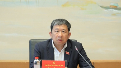 ກອງປະຊຸມຄະນະບໍລິຫານງານຂອງຄະນະພັກອົງການທີ່ປຶກສາ ແລະ ສະໜັບສະໜູນຂອງຄະນະພັກສະພາແຫ່ງຊາດ