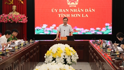 คณะกรรมการประชาชนจังหวัดซอนลาจัดการประชุมเพื่อหารือเกี่ยวกับความคืบหน้าในการสร้างฐานข้อมูลระดับจังหวัด