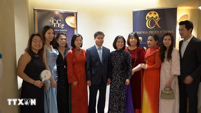 Le festival de cinéma « Pont de Lumière » tisse des liens entre la communauté vietnamienne en France.