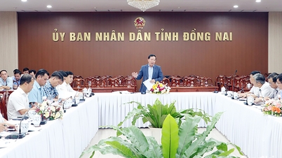 Dong Nai zal in juni 2026 starten met de aanleg van het Ringweg 4-project in Ho Chi Minh-stad.