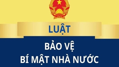 إصدار خطة تنفيذ قانون حماية أسرار الدولة.