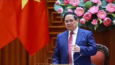 Premiärminister Pham Minh Chinh: Bensin, diesel och energi i allmänhet är avgörande för produktion och konsumtion.