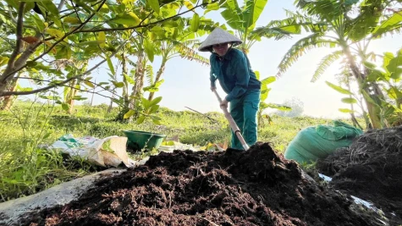 Des jeunes créent des entreprises dans l'agriculture circulaire.