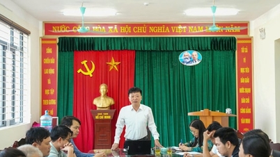 Comuna Hung Dao implementează sarcina de a organiza tradiționalul Festival Dinh So.