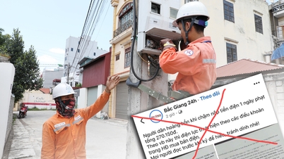 Tuan Than Van M secara hukum wajib membayar bunga keterlambatan pembayaran dan denda atas pelanggaran kontrak listrik.