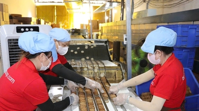 Tay Ninh: Assessoria jurídica gratuita para empresas e negócios familiares.