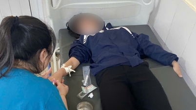 یک دانش‌آموز دختر کلاس هفتم در استان هونگ ین، به ظن قربانی شدن در مدرسه، سم آفت‌کش نوشید.