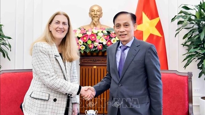 Außenminister Le Hoai Trung empfängt den Staatssekretär des Schweizer Ministeriums für Wirtschaft, Bildung und Forschung.
