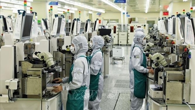 Bank Malaysia: Pasar Vietnam adalah 'titik terang' untuk masuknya modal asing.