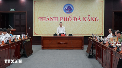 Da Nang: Schimb de experiențe, discuții și lecții extrase din implementarea alegerilor.