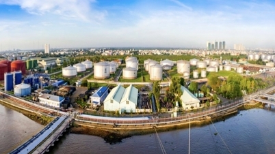 Hô Chi Minh-Ville : De nombreuses solutions ont été mises en œuvre pour garantir l'approvisionnement énergétique et stabiliser le marché.