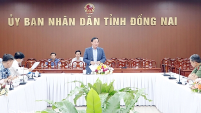 ខេត្តដុងណៃនឹងផ្តល់អាទិភាពដល់ការបែងចែកដើមទុនដល់វិនិយោគិនដែលមានអត្រាការប្រាក់ល្អ។