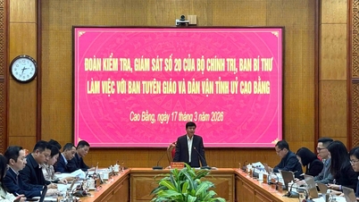 Inspection and supervision team No. 20 of the Politburo and the Secretariat worked with the Propaganda and Mass Mobilization Department of the Provincial Party Committee.