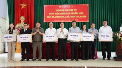 Stálý výbor provinčního stranického výboru Son La spolupracoval s obcemi Muong Chanh, Chieng Mai, Chieng Mung, Ta Hoc, Chieng Sung a Mai Son.