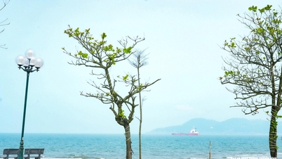 Weather forecast for Nghe An on March 18th: Sunny during the day, scattered rain at night.
