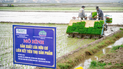 Untuk membangunkan pertanian kitaran