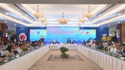 Gia Lai caută noi surse de investiții din orașul Ho Chi Minh.
