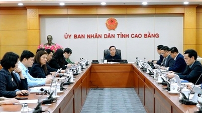 Preliminary election results in Cao Bang: 100% of candidates nominated by the Central Committee were elected.