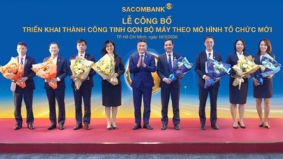 SACOMBANK رسماً تحت مدل سازمانی جدید خود فعالیت می‌کند.