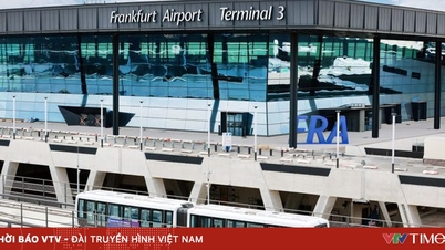 Η Vietnam Airlines μεταφέρει τους λειτουργικούς τερματικούς σταθμούς της σε πολλά διεθνή αεροδρόμια.