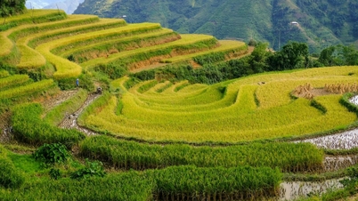 Où se situe le Vietnam parmi les 28 plus beaux pays du monde ?