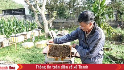 ភាពផ្អែមល្ហែមបញ្ឆេះ "ក្តីស្រមៃនៃផ្ទះ"។