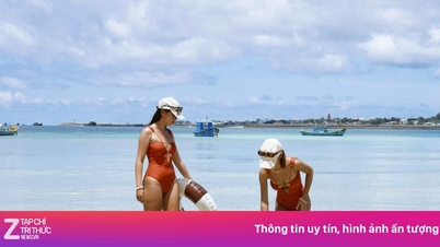 O que torna Phu Quoc, Con Dao e Phu Quy tão especiais durante a bela temporada de praia?