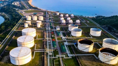De belangrijkste investeringsrichtingen van de olie- en gasindustrie.