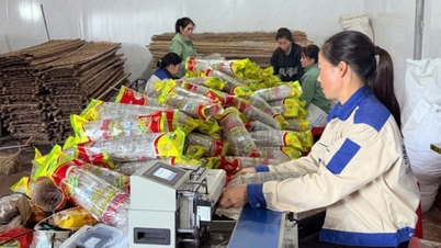 A agricultura, os agricultores e as zonas rurais estão a transformar-se numa direção moderna, ecológica e de elevado valor acrescentado.