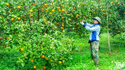 पिछड़े क्षेत्रों में स्थायी आजीविका का सृजन करना।