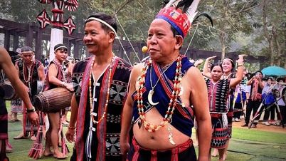 «ដើម​កំបោរ​បុរាណ» នៅ​លើ​ច្រាំង​ទន្លេ​កូន