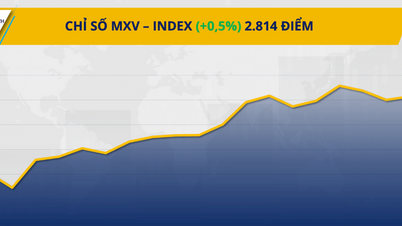 Les marchés des matières premières ont fluctué, l'indice MXV progressant de 0,5 % pour atteindre 2 814 points.
