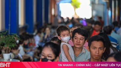Het Ministerie van Volksgezondheid heeft de verspreiding van het hand-, voet- en mondziektevaccin in Vietnam goedgekeurd.