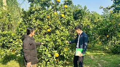 ডিজিটাল রূপান্তরকে উৎসাহিত করার মাধ্যমে থান হোয়ার মানুষ সহজেই আর্থিক পরিষেবা পেতে পারে।
