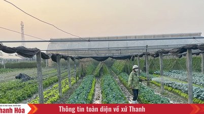 ផ្តោតលើការបង្កើនប្រាក់ចំណូលរបស់ប្រជាជនជាធាតុស្នូលនៃការអភិវឌ្ឍ។