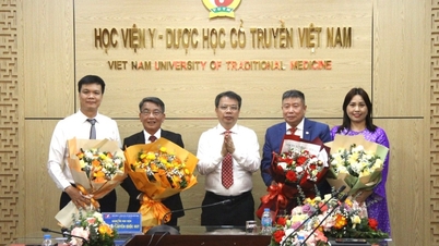 การแต่งตั้งศาสตราจารย์รอง 4 ท่าน กลับเข้ารับตำแหน่งอีกครั้ง ณ สถาบันการแพทย์แผนโบราณแห่งเวียดนาม