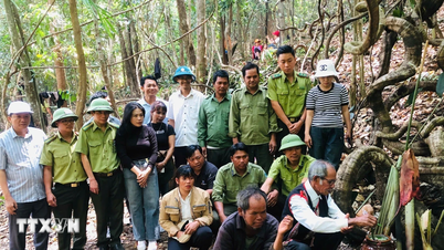Lễ cúng rừng-nét văn hóa đặc sắc của người Mông