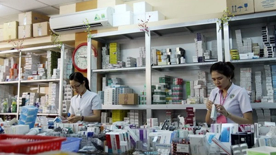 La ville d'Hô-Chi-Minh-Ville a inclus environ 350 produits pharmaceutiques dans son programme de stabilisation du marché.