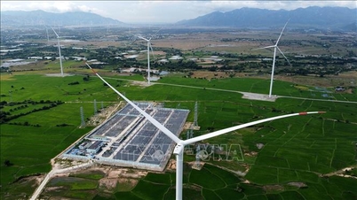 Vietnam en Japan lanceren een nieuwe generatie ontwikkelingshulpleningen voor groene transformatie.